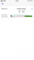 5FDDEBA3-3CC3-4CF3-AA53-CE866E65BDC9.png