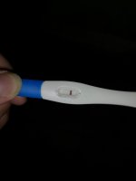 IMG_20200815_171224.jpg
