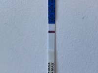 194AF32B-FB77-46AD-9E03-CDCBEE2EB3E8.jpeg