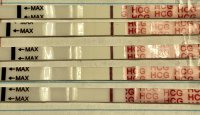A2192C84-9D75-4B00-B1D8-C012C79005C6.jpeg