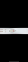 FDF78CC4-A028-4BF3-9AE5-21F2D6E56D0F.png