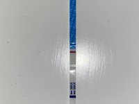 BD25A50E-EE49-4D4E-9D89-F40F6484F714.jpeg