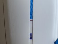 32D24981-7507-4DC7-90FF-2EC77E56C781.jpeg