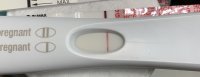 058D98ED-6539-4509-ACD3-DFBD5177DDA1.jpeg