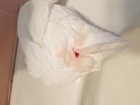 20200830_161557.jpg