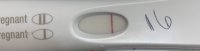 9C0B0963-4C44-4A4C-86F2-AF2D0FA89FB3.jpeg