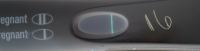 4A99D5AF-E9CD-451C-8A5E-2D1CE7417E23.png