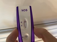 087E4CEC-6F72-495B-B755-81D316DED0CC.jpeg