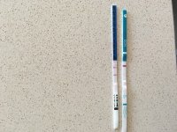 302E3BEB-BCA7-4EAD-A60F-9661FFBD4A32.jpeg