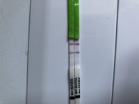 107B6B58-588C-4BC0-83EA-75C4FDCA34AB.jpeg