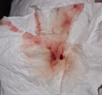 20200915_161433.jpg