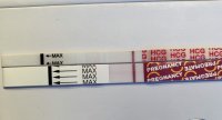 34BD9F68-3714-4ABC-BD67-548DB3C7E21E.jpeg