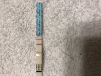 3F882CEF-69FE-454E-8B98-ED2F366AE724.jpeg