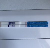 F113353E-DF72-4C10-9BB5-6A3DBD8D5A53.jpeg