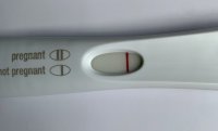 5B89B854-4BBB-46AB-A8F9-DE148562610B.jpeg