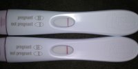 20200926_030426.jpg