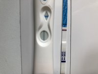 C60ECE07-EB90-41F2-BE4E-B63CBA8DE07F.jpeg