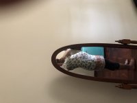 B870E8D7-75FB-49BD-B8CA-74B34EF5F1A4.jpeg