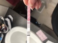 03511388-CA76-47DB-8DCE-18D534EF417B.jpeg