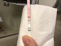 DB664894-859F-48BE-892D-921BF1E876C2.jpeg