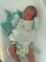 IMG_20201004_124757.jpg