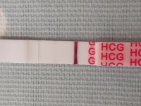 20201005_122845.jpg