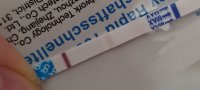 20201016_151213.jpg