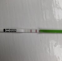 07917658-DC2C-49C4-A659-25D951C56246.jpeg