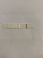 C360600B-77B9-4ED1-9C63-8E0E71635703.jpeg