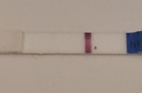 20201021_185050.jpg