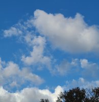 20201021_173851.jpg