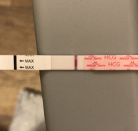 16031097-1BE7-4BD0-8801-50E276F0561F.jpeg
