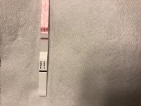 51CDBA00-EF72-4E13-AAFD-D49CF7F50296.jpeg