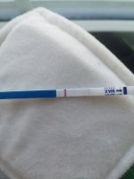 IMG_20201102_090251.jpg
