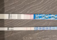 20201102_224317.jpg