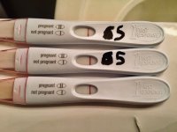 Progression 6 DPT 2.jpg