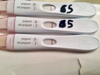 Progression 6 DPT.jpg