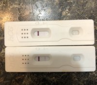00896D1D-4F5B-4ECD-A4B5-634402AD3545.jpeg