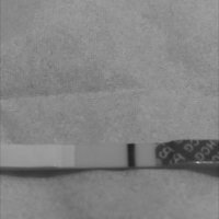 upload_2020-11-8_5-58-50.jpeg