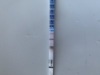 F2E6CE28-EB8E-4BEB-AF28-56437DE7C0FF.jpeg