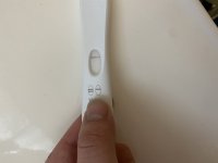 C14C9662-8618-450F-A4D1-0422368E71B5.jpeg