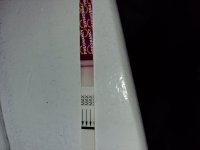 20201117_082837.jpg