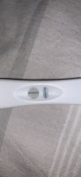 99A282A5-5000-4CB8-AEEB-AC5CACA47C1A.jpg