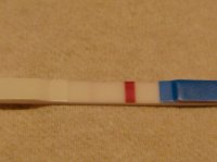 11DPO 6DEC08.jpg