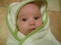 picture-4.jpg
