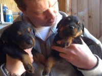 pups 057.jpg