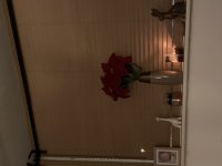 8090337A-8C0E-4AAE-90C7-2029494EB9FE.jpeg