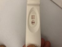 91F64180-157A-4797-AC0D-3A03F78D041E.jpeg