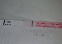 20201215_104635.jpg