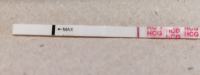 img2.png